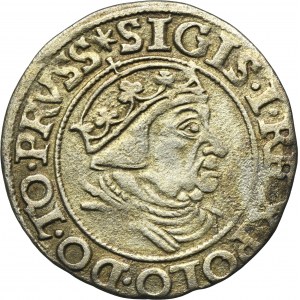 Žigmund I. Starý, Grosz Gdańsk 1538 - PRVSS