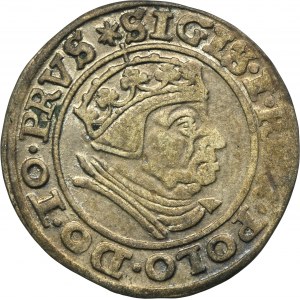 Sigismund I the Old, Groschen Danzig 1539 - PRVS