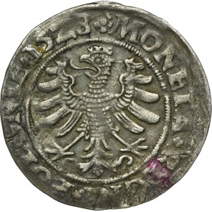 Žigmund I. Starý, Grosz Krakov 1528
