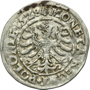 Zikmund I. Starý, Grosz Krakov 1528