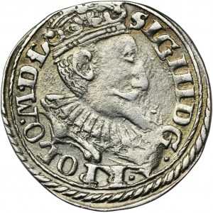 Zikmund III Vasa, Trojak Olkusz 1597