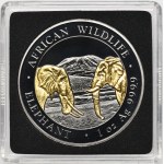 Somalia, 100 Shillings 2020 Munich African fauna - African elephant