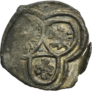 Sigismund III Vasa, Uniface denarius Posen - VERY RARE