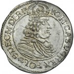 John II Casimir, 1/4 Thaler 1664 HDL - VERY RARE, error TIIRVNENSIS
