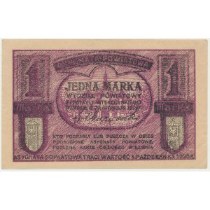 Gniezno/Witkowo, 1 marka 1919