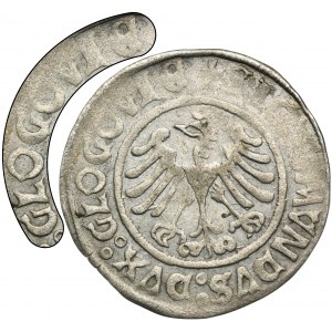 Sigismund I the Old, Groschen Glogau 1506 - RARE