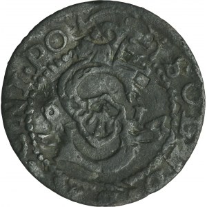 Sigismund III Vasa, Schilling Bromberg 1614 - VERY RARE, date 6-14