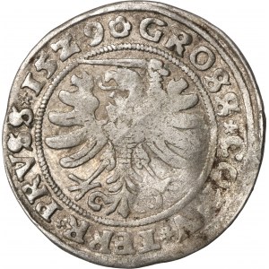 Sigismund I the Old, Groschen Thorn 1529 - VERY RARE, SIGIS REX