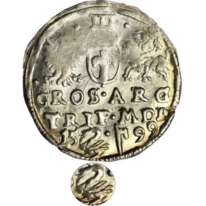 Zikmund III Vasa, Trojka Vilnius 1599 - RZADKI, Swan