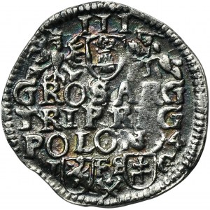 Žigmund III Vaza, Trojak Bydgoszcz 1594 - NEZNÁMY