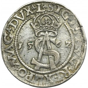 Sigismund II August, 3 Groschen Vilnius 1562 - L/LI