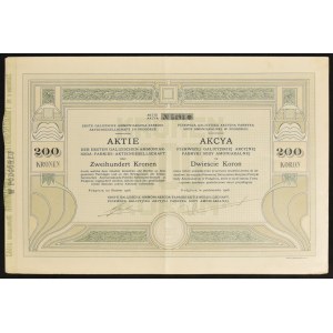 Pierwsza Galicyjska Akcyjna Fabryka Sody Amoniakalnej w Podgórzu, 200 koron 1906