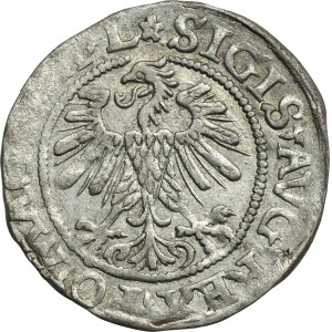 Sigismund II August, 1/2 Groschen Vilnius 1560 - L/LITVA - RARE