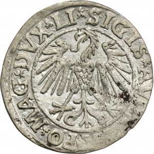 Sigismund II August, 1/2 Groschen Vilnius 1546 - LI/LITVA