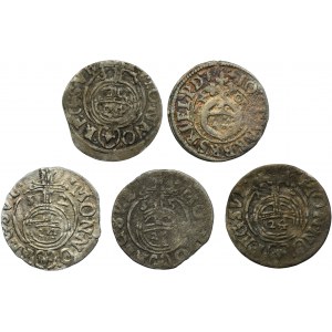 Set, Swedish occupation of Elbing and Duchy of Prussia, 3 Polker (5 pcs.)