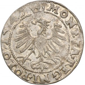 Sigismund I the Old, Groschen Krakau 1547 ST - RARE