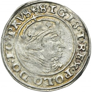Sigismund I the Old, Groschen Danzig 1540 - PRVS