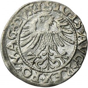 Zygmunt II August, Półgrosz Wilno 1562 - L/LITV