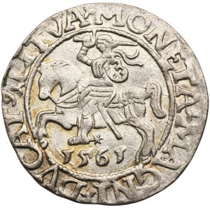 Sigismund II Augustus, halber Pfennig Vilnius 1561 - L/LITV