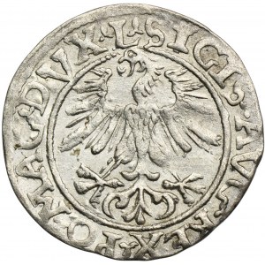 Sigismund II August, 1/2 Groschen Vilnius 1561 - L/LITV