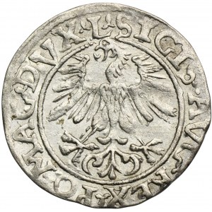 Zygmunt II August, Półgrosz Wilno 1561 - L/LITV