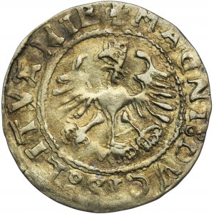 Sigismund I the Old, Halfgroat 1527 - RARE