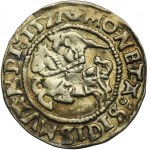 Zikmund I. Starý, půlpenny Vilnius 1527 - RARE