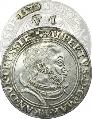Prusy Książęce, Albrecht Hohenzollern, Szóstak Królewiec 1530 - EKSTREMALNIE RZADKI