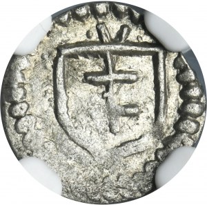 Ladislaus II Jagiello, Denarius Fraustadt - VERY RARE - NGC MS62