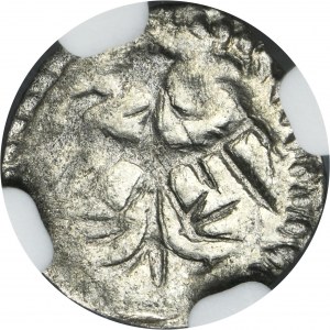 Ladislaus II Jagiello, Denarius Fraustadt - VERY RARE - NGC MS62