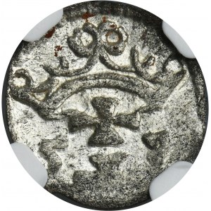 Zikmund II Augustus, gdaňský denár 1557 - NGC MS64