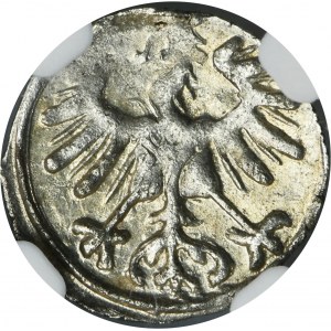 Sigismund II August, Denarius Vilnius 1556 - NGC MS63