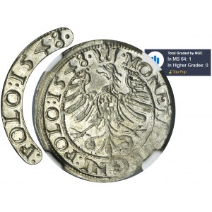 Zikmund I. Starý, groš Krakov 1548 ST - VELMI ZRADKÝ - NGC MS64