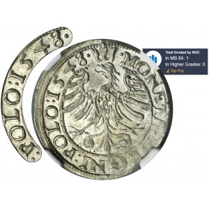 Sigismund I the Old, Groschen Krakau 1548 ST - VERY RARE - NGC MS64