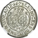 Silsia, Duchy of Liegnitz-Brieg-Wohlau, Louise von Anhalt-Dessau, 6 Kreuzer Brieg 1673 CB - NGC MS66