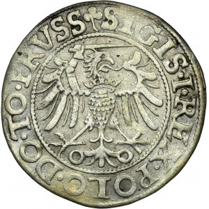 Sigismund I the Old, Groschen Elbing 1540 - PRVSS