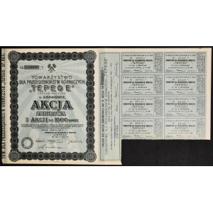 Towarzystwo Przedsiębiorstw Górniczych Tepege S.A., 5 x 1 000 mkp 1923