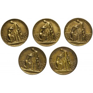 Set, Germany, Weimar Republic, Hyperinflation Memorial Medal (5 pcs.)