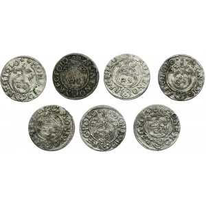 Set, Sigismund III Vasa, 3 Polker Bromberg (7 pcs.)