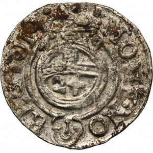 Zikmund III Vasa, polopostava Bydhošť 1619 - PÁD Z DĚJIN