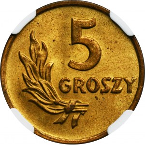 5 groszy 1949 Mosiądz - NGC MS67 - PIĘKNE