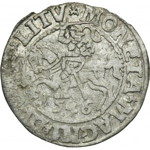 Zikmund II August, půlgroš Vilnius 1546 - L/LITV