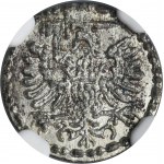 Stephen Bathory, Denarius Danzig 1581 - NGC MS65