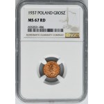 1 grosz 1937 - NGC MS67 RD