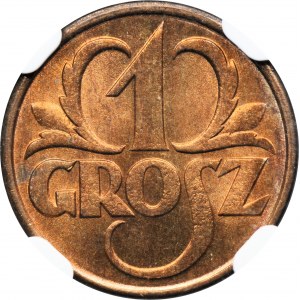 1 grosz 1931 - NGC MS66 RD