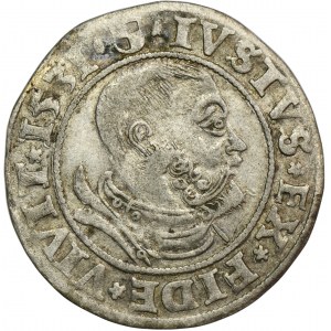 Knížecí Prusko, Albrecht Hohenzollern, Grosz Königsberg 1531 - PRVS