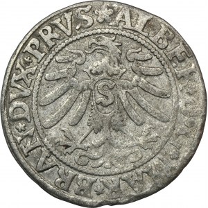 Duchy of Prussia, Albert Hohenzollern, Groschen Königsberg 1533 - PRVS