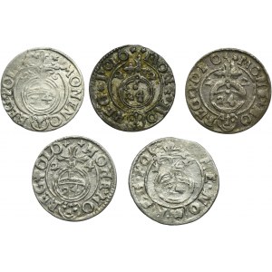 Set, Sigismund III Vasa, 3 Polker Bromberg (5 pcs.)