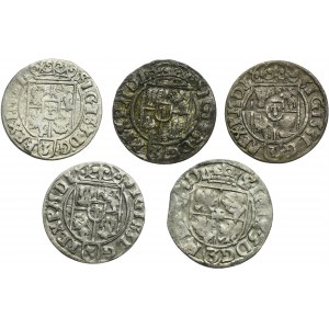 Set, Sigismund III Vasa, 3 Polker Bromberg (5 pcs.)