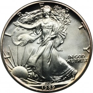 USA, 1 Dollar Philadelphia 1989 - Walking Liberty